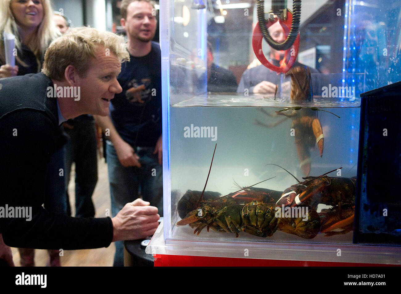 KITCHEN NIGHTMARES, chef Gordon Ramsay (front), 'Black Pearl', (Season