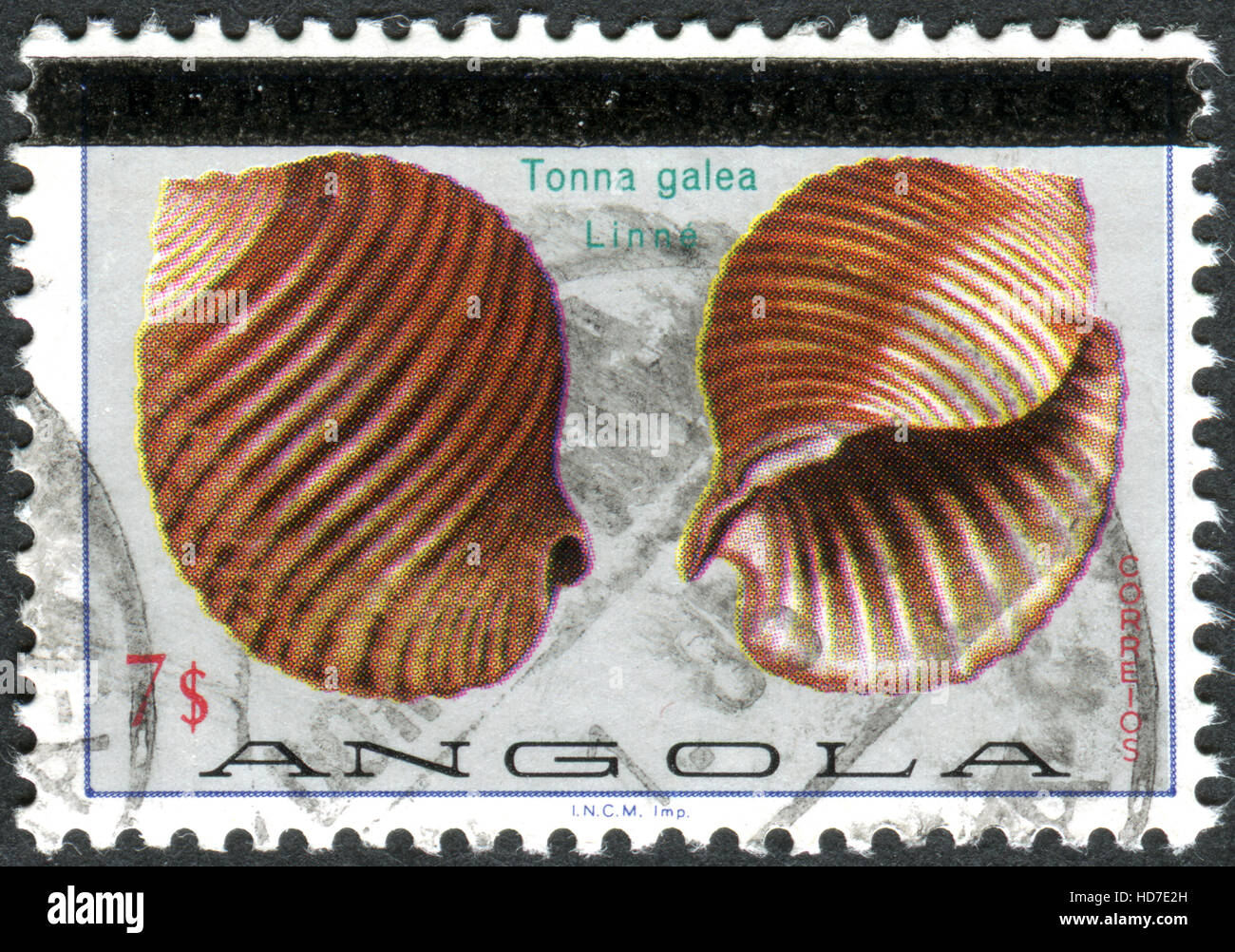 A stamp printed in Angola (overprint 1981), shows the marine gastropod mollusc Giant Tun (Tonna galea) Stock Photo