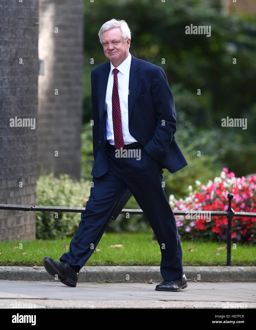 David Davis, Secretary of State for Exiting the European Union, as ministers arrive at 10 Downing Street, London, for this weeks Cabinet meeting.  Featuring: David Davis Where: London, United Kingdom When: 13 Sep 2016 Stock Photo