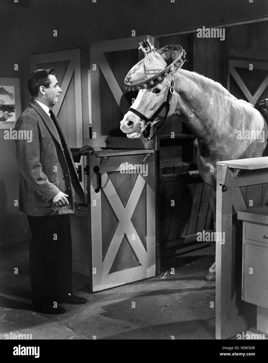 MR. ED, Alan Young, Mr. Ed, 196166 Stock Photo Alamy