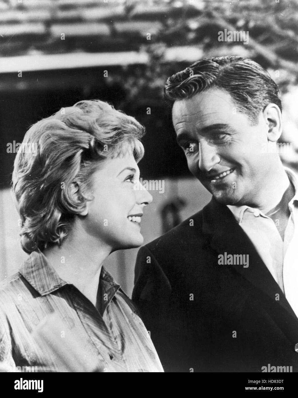MR. ED, Connie Hines, Alan Young, 1961-66 Stock Photo - Alamy