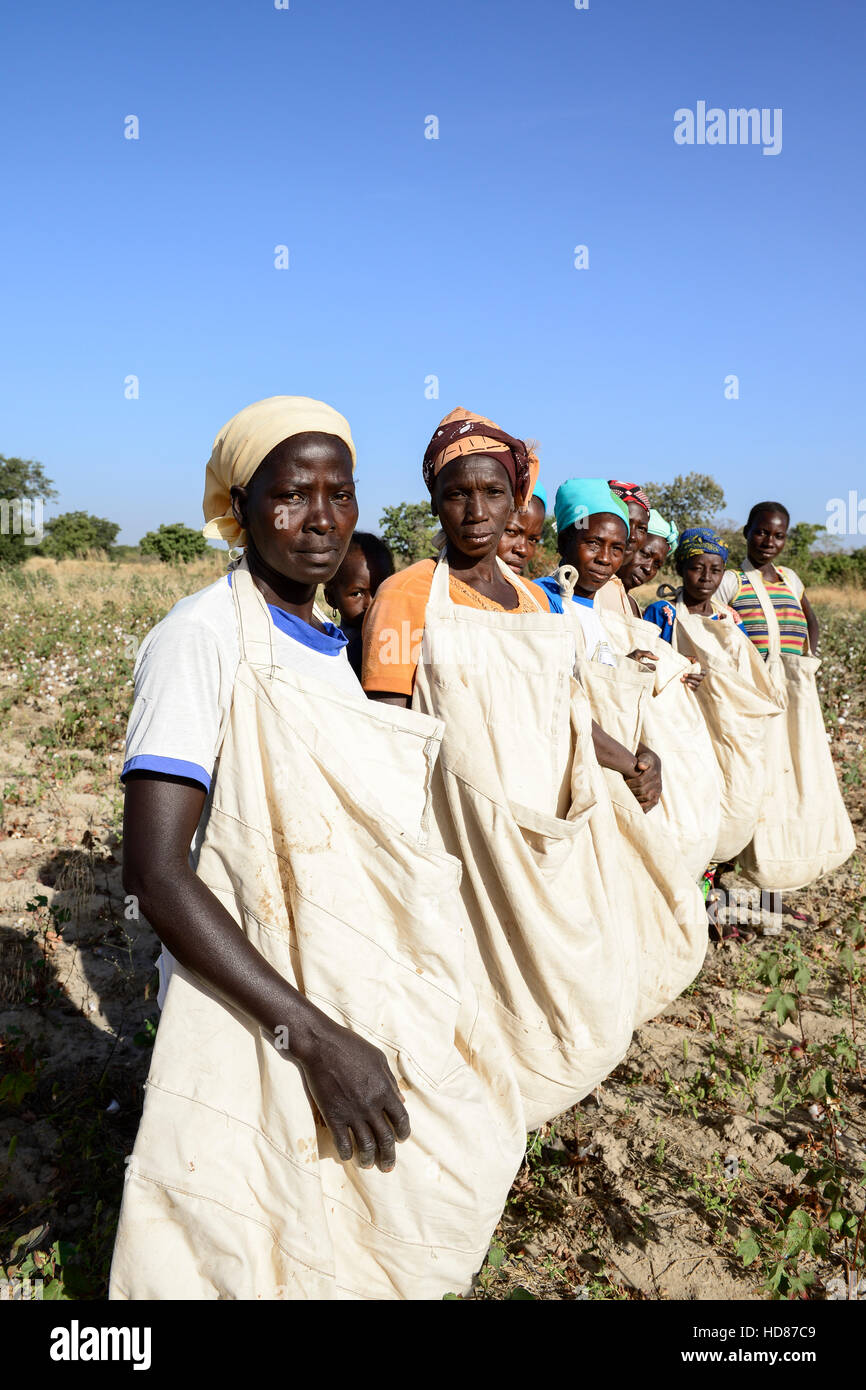 BURKINA FASO, village GOUMSIN near SAPONE, organic and fair trade cotton farming, women farmer group with cotton bags Stock Photo