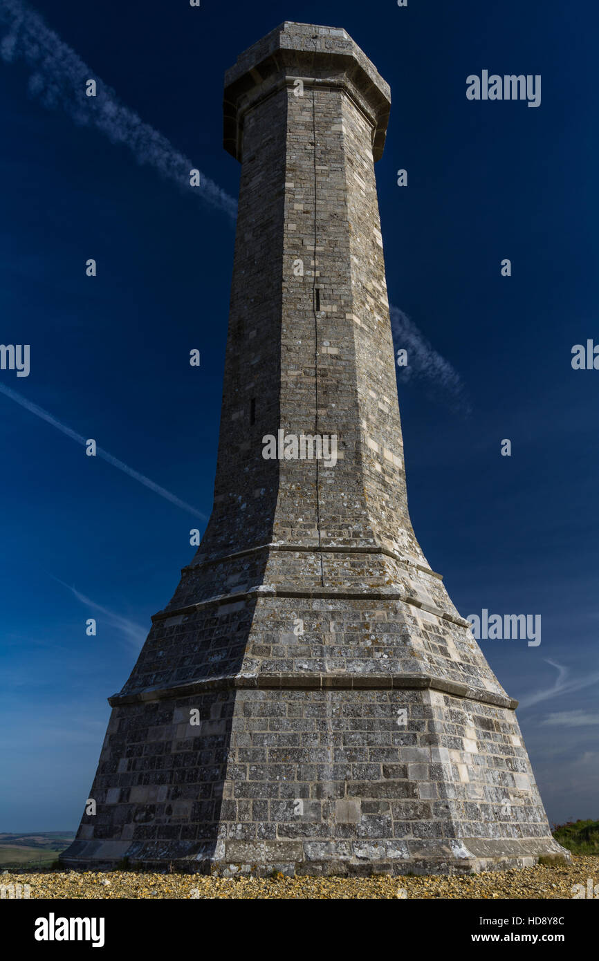 Hardys Monument in memory of commander at the Battle of Trafalgar. Dorchester, Dorset, England, United Kingdom. Stock Photo