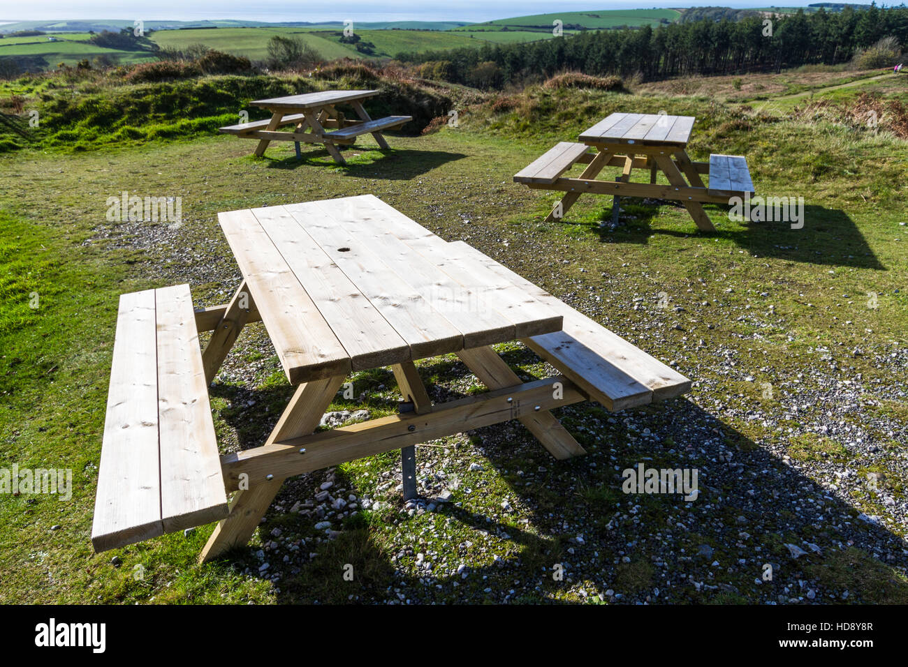 Sunlit view of picnic tables on grass Stock Photo Alamy