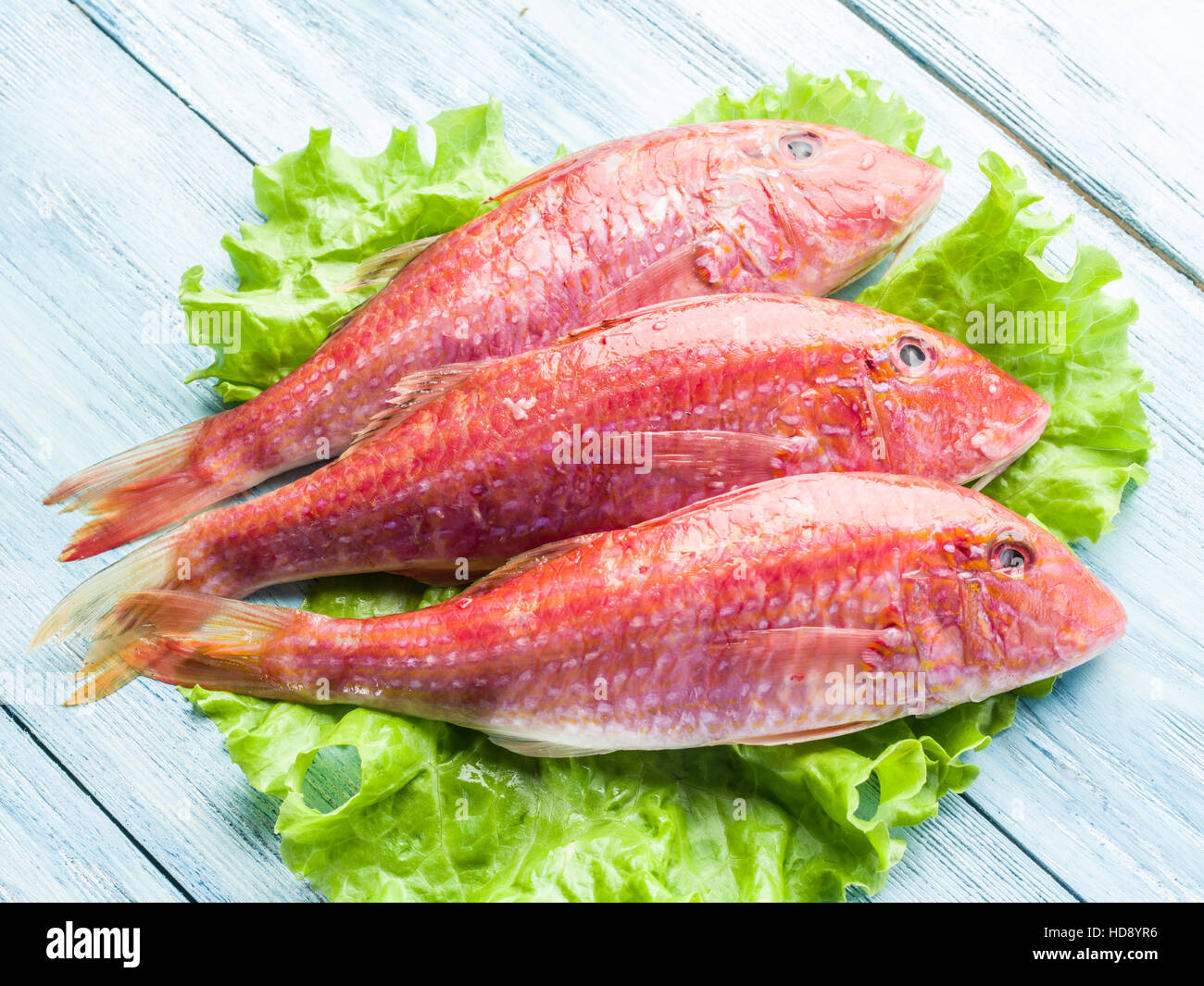 Red mullets on the wooden board. Stock Photo