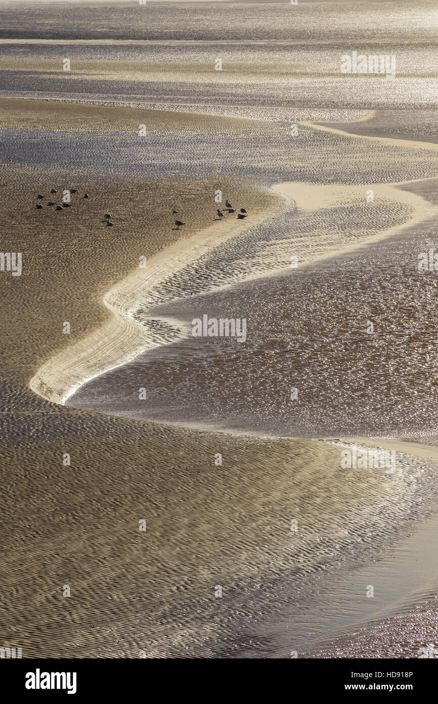 Sand banks at low tide on the River Severn. Stock Photo