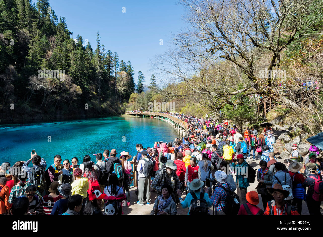 Five-Coloured pool, Crowd on a footbridge, Jiuzhaigou National Park, Sichuan Province, China, Unesco World Heritage Site Stock Photo