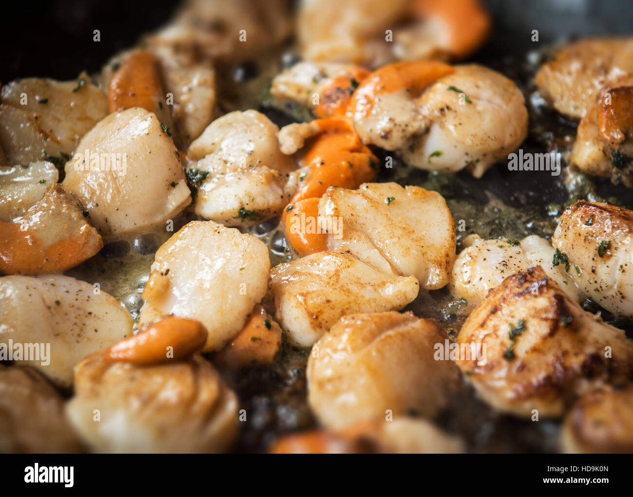 Simple grilled scallops and coral recipe cooked with butter and parsley, Close up with depth of field effect. Horizontal image. Stock Photo