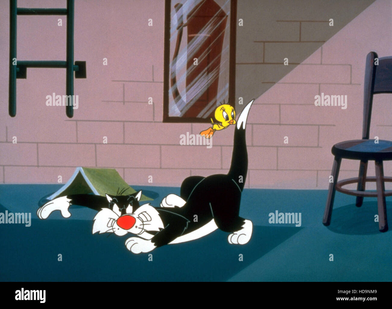 THE SYLVESTER & TWEETY SHOW, Sylvester the Cat, Tweety Bird, 1976 Stock ...