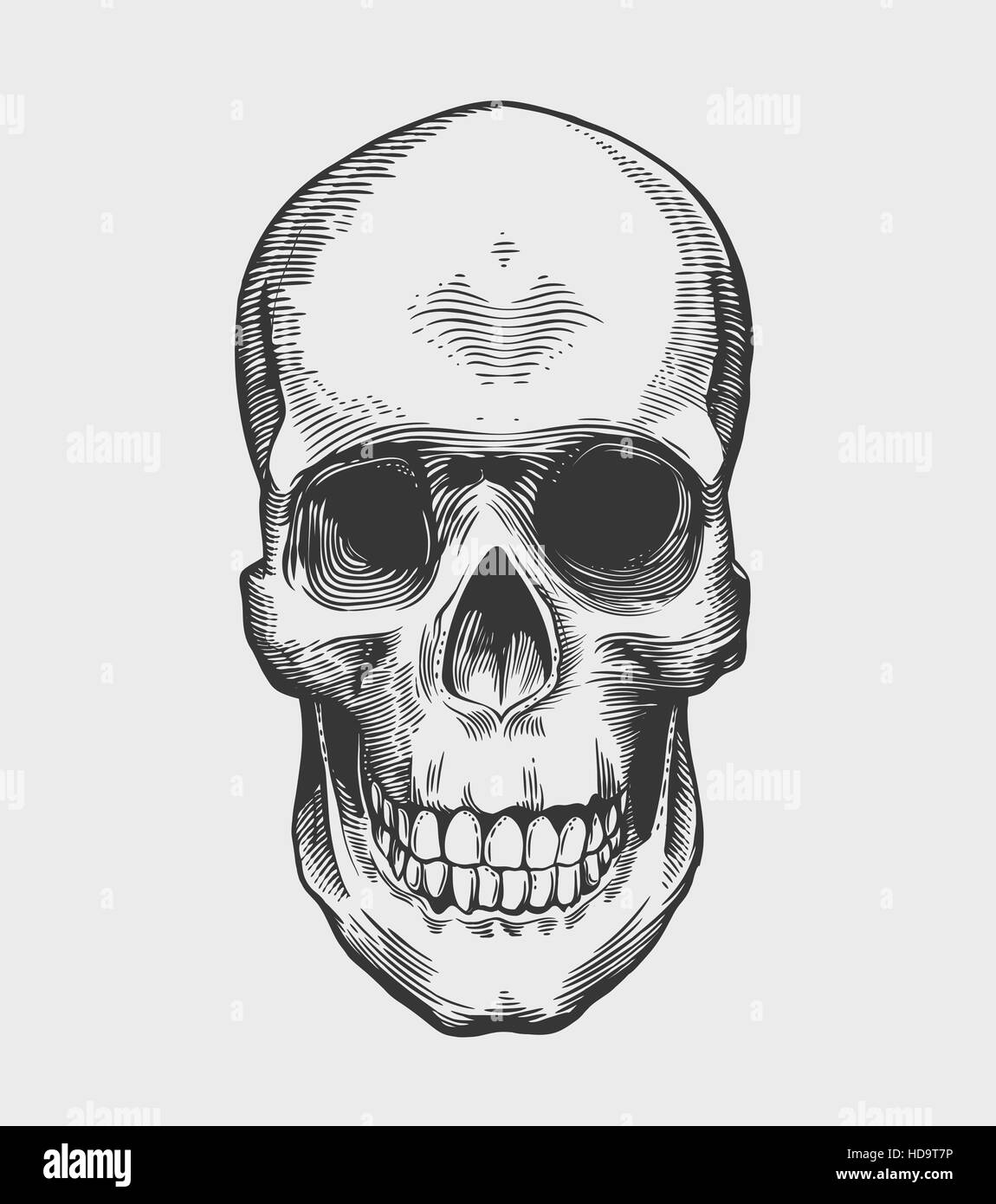 Skull in vintage engraving style. Vector illustration. Stock Vector