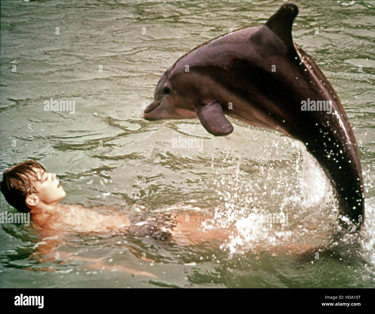 FLIPPER, Luke Halpin, Flipper, 1964-67 Stock Photo - Alamy FLIPPER, Luke Halpin, Flipper, 1964-67 Stock Photo - Alamy