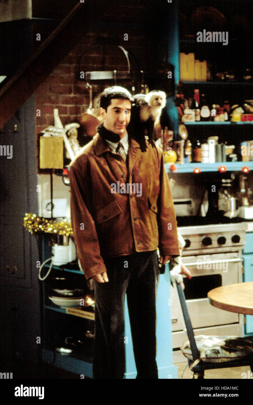FRIENDS, David Schwimmer, Marcel The Monkey, 1994present, 1st season