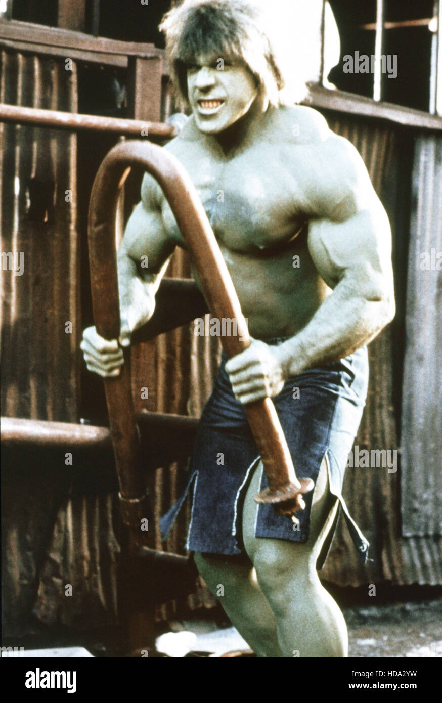 THE INCREDIBLE HULK, Lou Ferrigno, 1978-82. © Universal Television ...