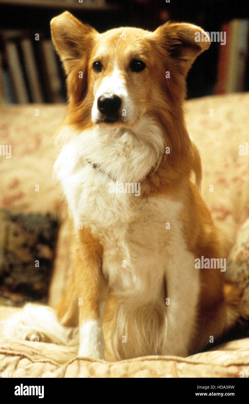 MAD ABOUT YOU, Murray, 199299 Stock Photo Alamy