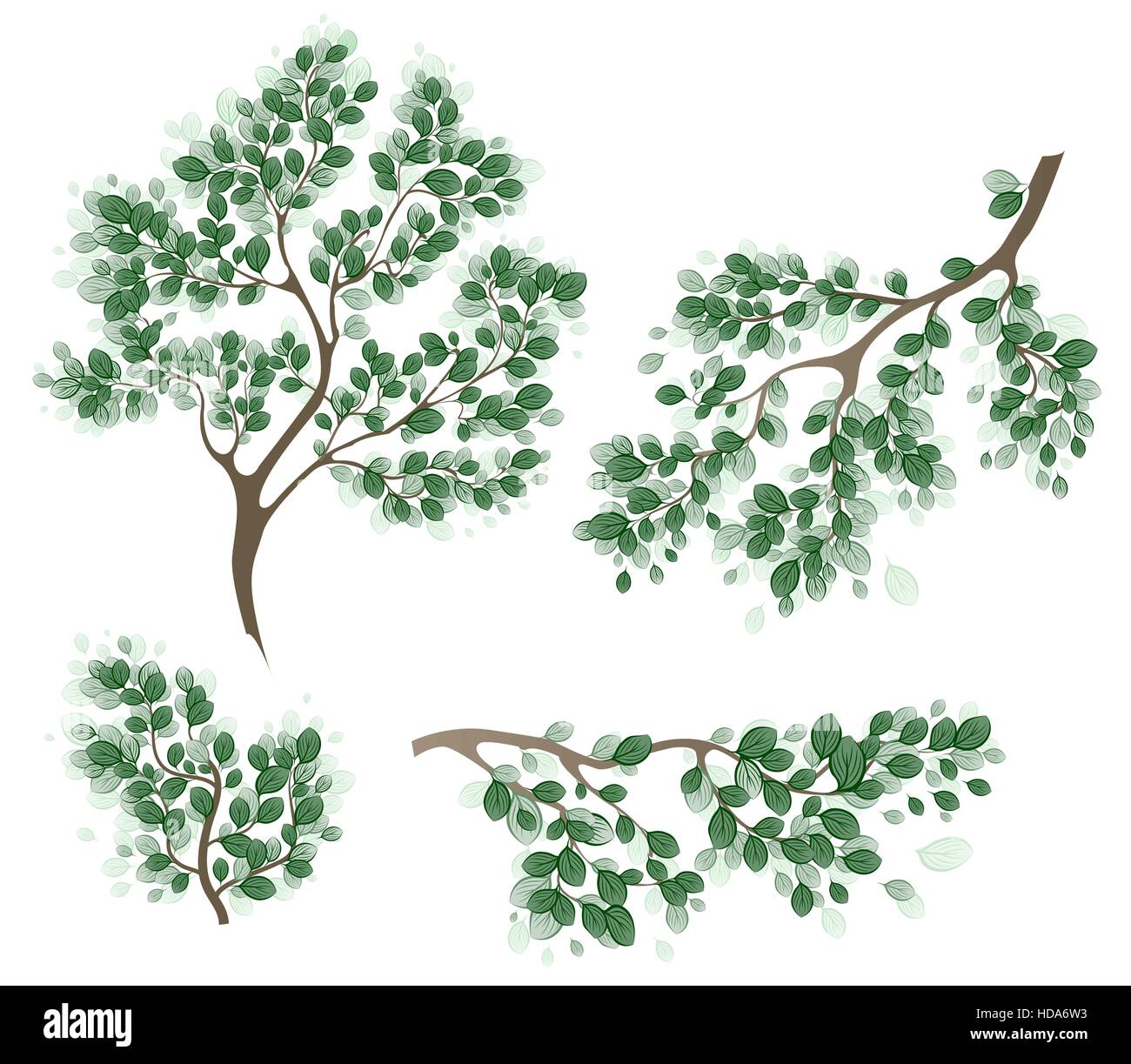 Flexible branches Stock Vector Images Alamy