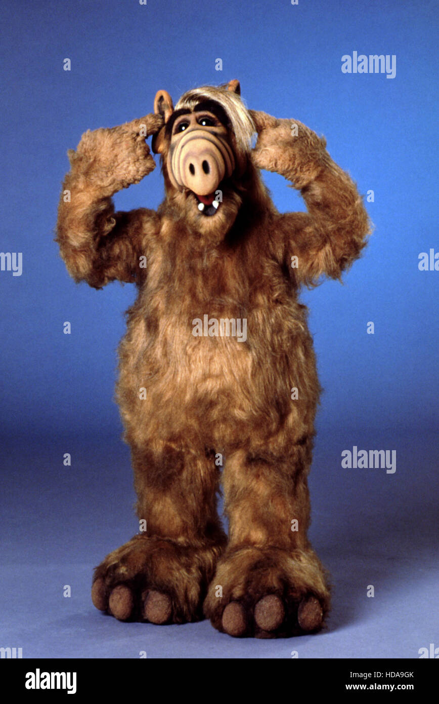 Alf Alf 1986 90 © Alien Productions Courtesy Everett Collection