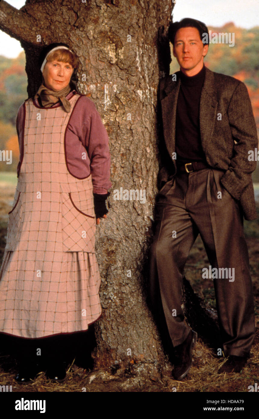 THE CHRISTMAS TREE, Julie Harris, Andrew McCarthy, 1996. © Walt Disney