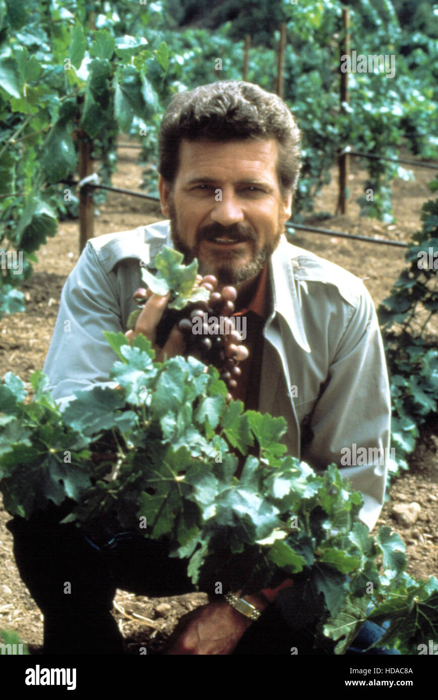 FALCON CREST, Robert Foxworth, 198190, © CBS / Courtesy Everett