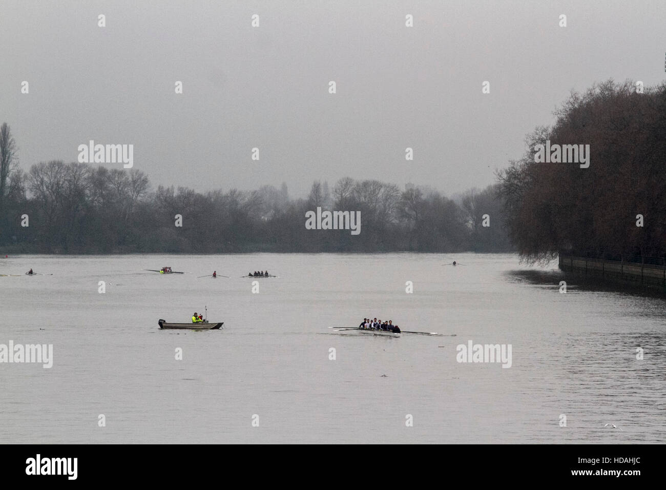 Putney Riverside Rowing Rowing on the thames, putney, leisure hi-res stock photography and ...
