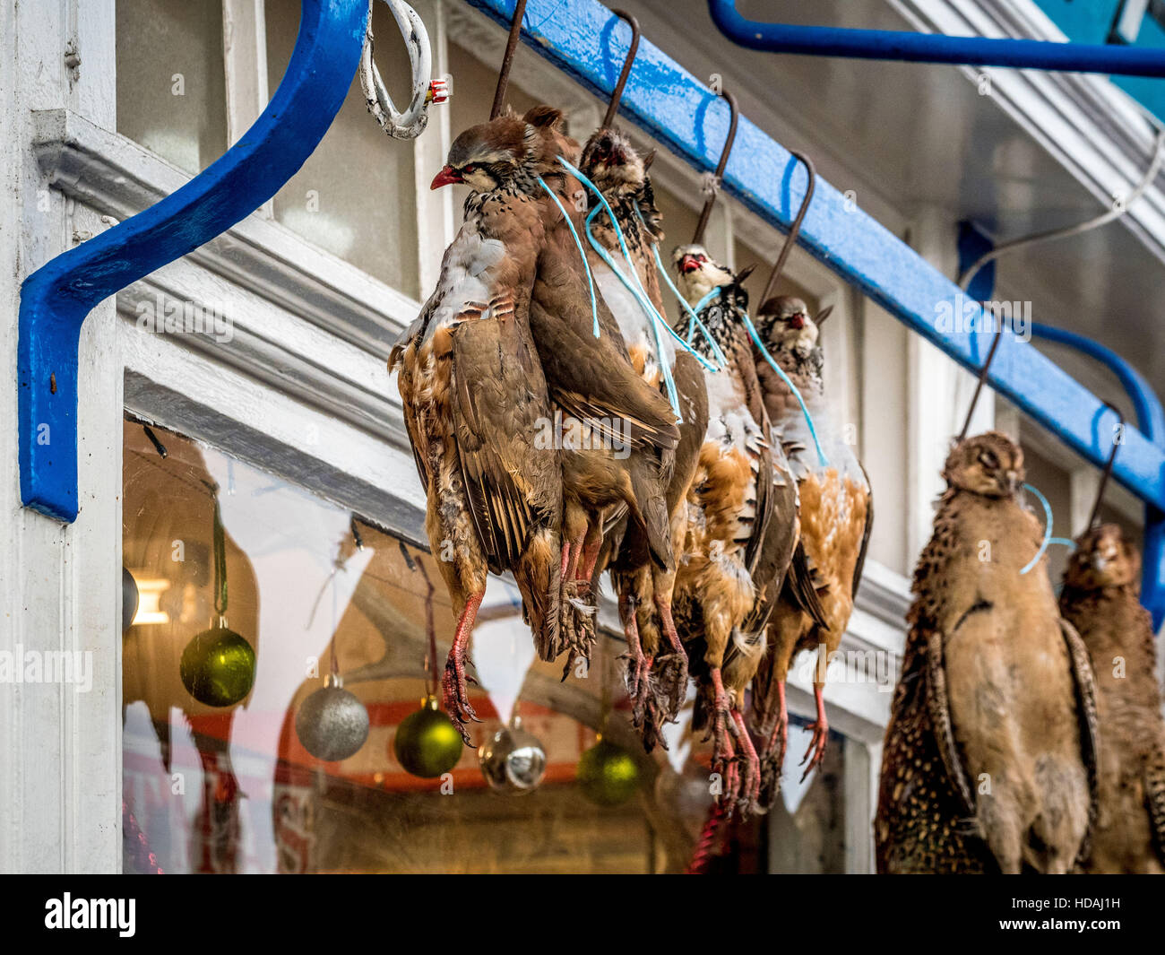 Malton, UK. 10th December, 2016. Game birds, pheasant, partridge and