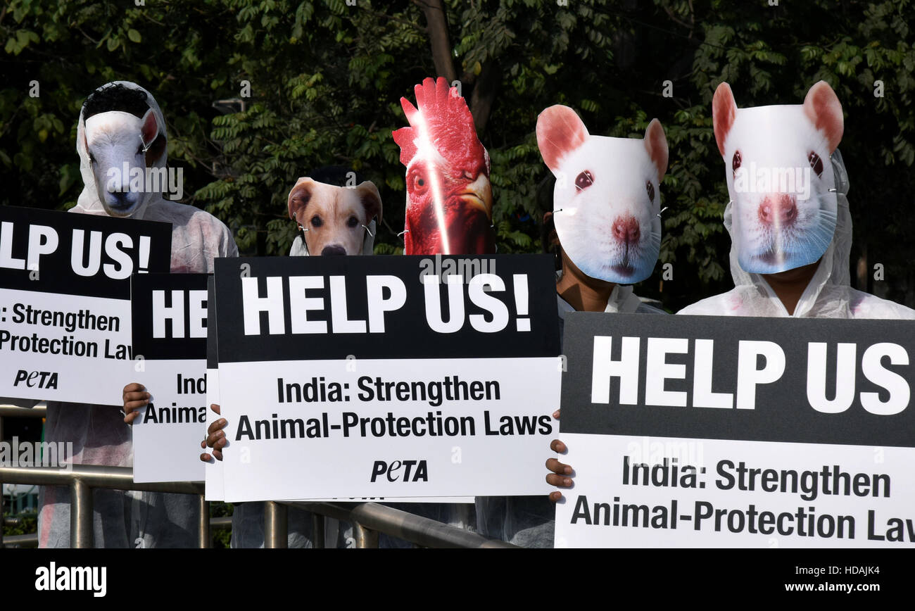 Bangalore, India. 10th Dec, 2016. Supporters of People for the Ethical  Treatment of Animals (PETA) wear masks of animals and hold placards during  a demonstration on the International Animal Rights Day in