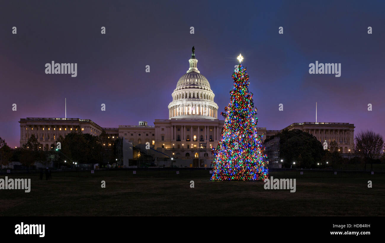 The U.S Capitol Christmas tree illuminated after being lit by House Speaker Paul Ryan December 6, 2016 in Washington, DC. The tree is an 80-foot tall Engelmann Spruce from the Payette National Forest in Idaho. Stock Photo