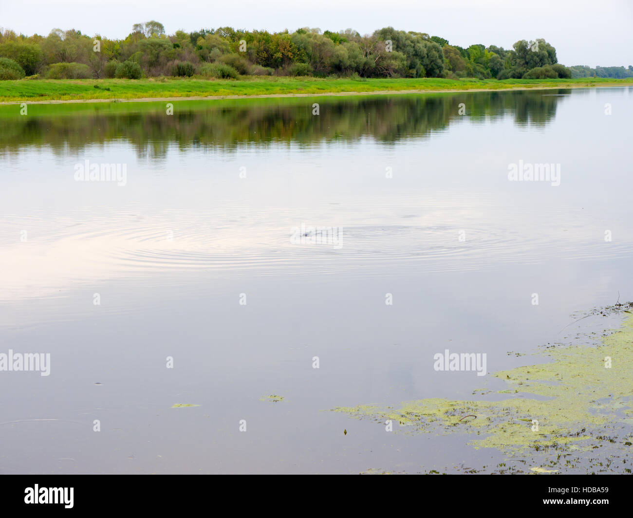 Landscape river in the forests and fields. Stock Photo