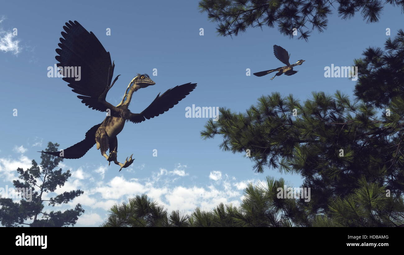 Archaeopteryx birds dinosaurs flying among pine trees 3D render Stock