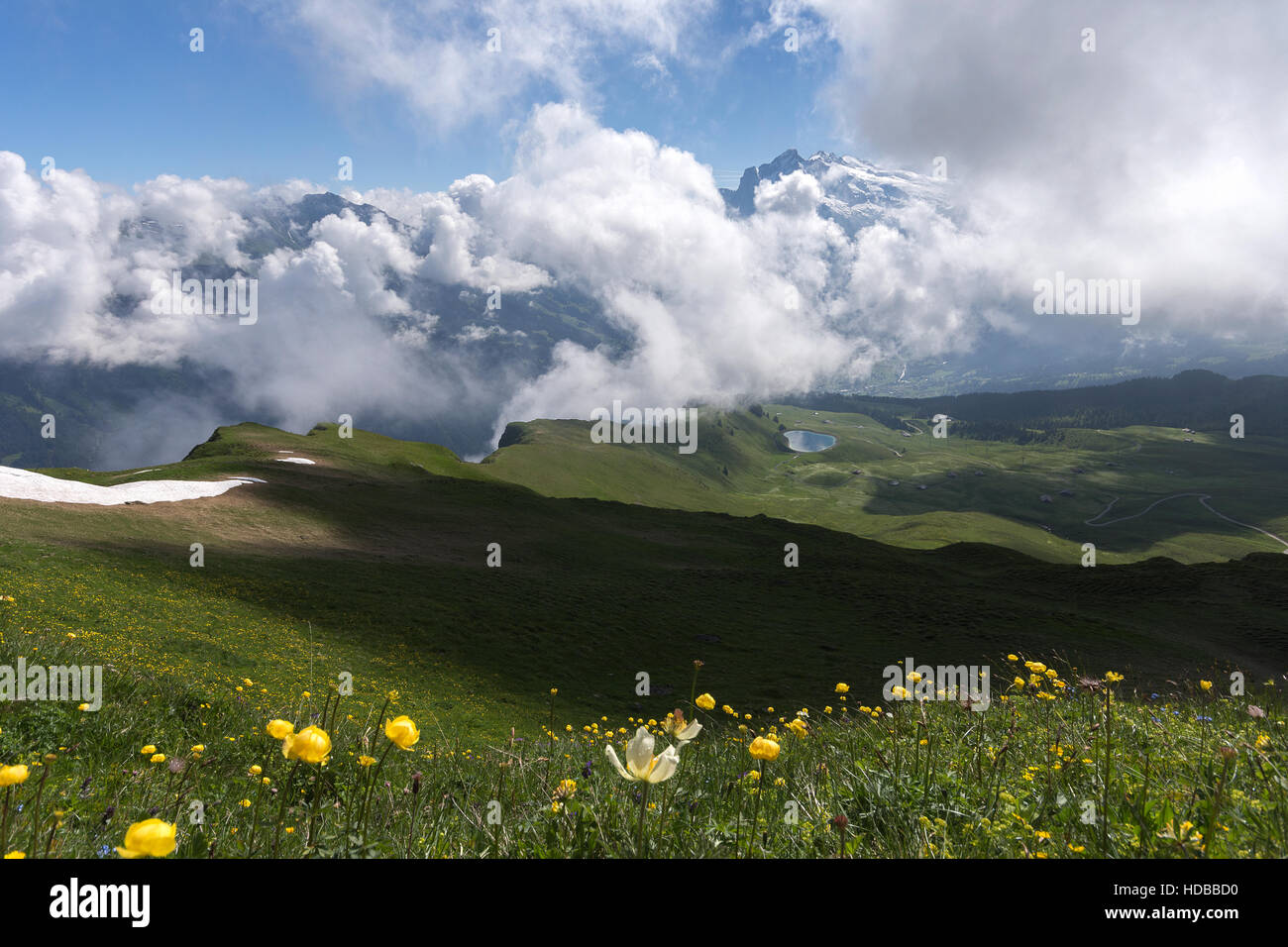 Swiss wallpaper hi-res stock photography and images - Alamy