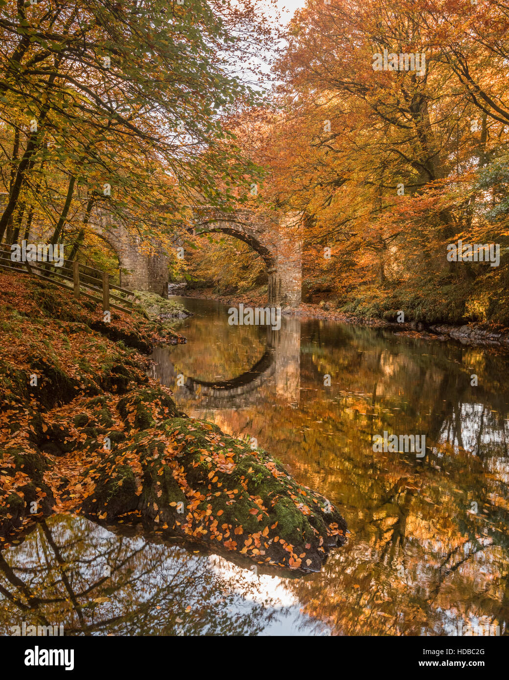River Dart at Holne Bridge, Dartmoor, near Ashburton, South Devon  during autumn Stock Photo