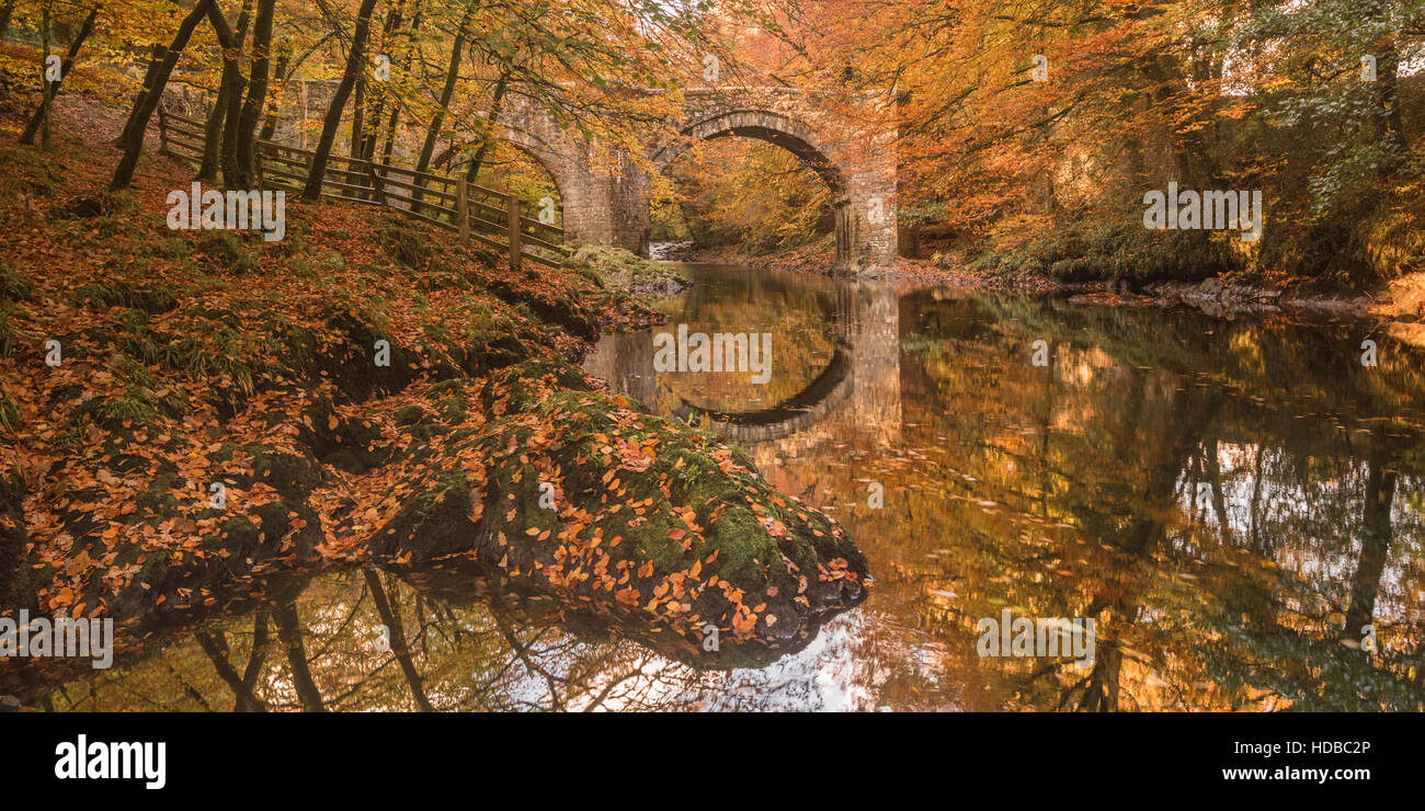 River Dart at Holne Bridge, Dartmoor, near Ashburton, South Devon  during autumn Stock Photo