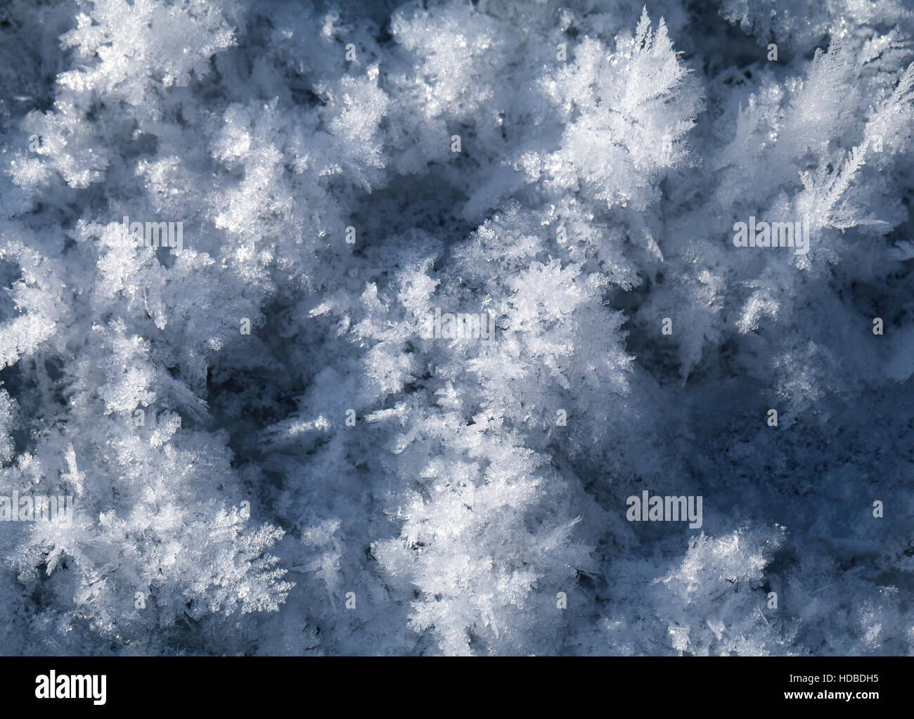 Big snow crystals on the ground, macro shot Stock Photo