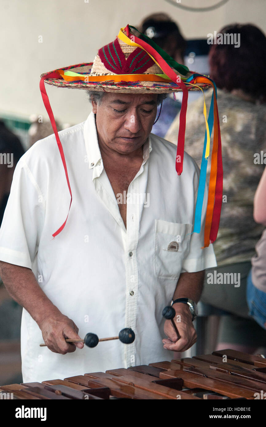 Musician plays xylophone Puerto Vallarta Mexico Stock Photo Alamy