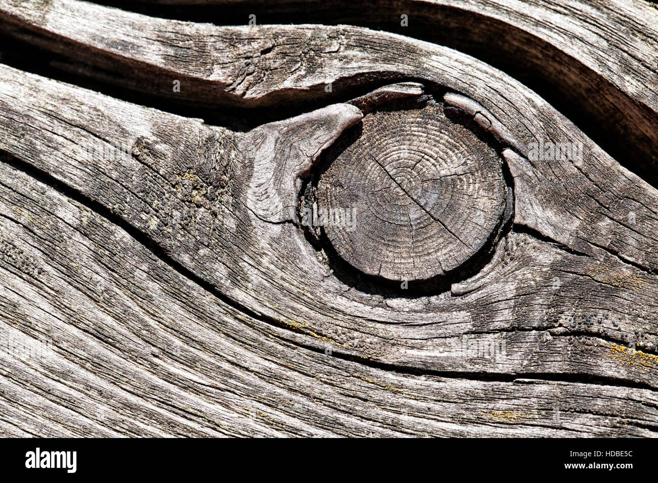 Split wood texture hi-res stock photography and images - Alamy