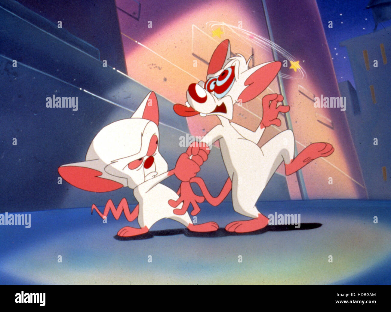 PINKY AND THE BRAIN, 1995 - 1998 Stock Photo - Alamy