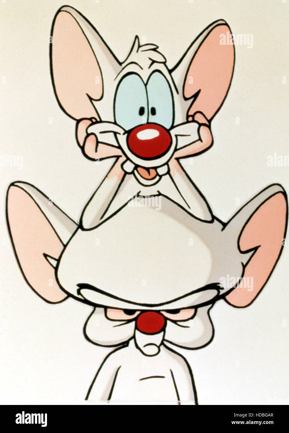 ワーナーブラザース　ピンキー&ブレイン 1995 Warner Bros Press Kit Animaniacs Pinky Brain Freakazoid