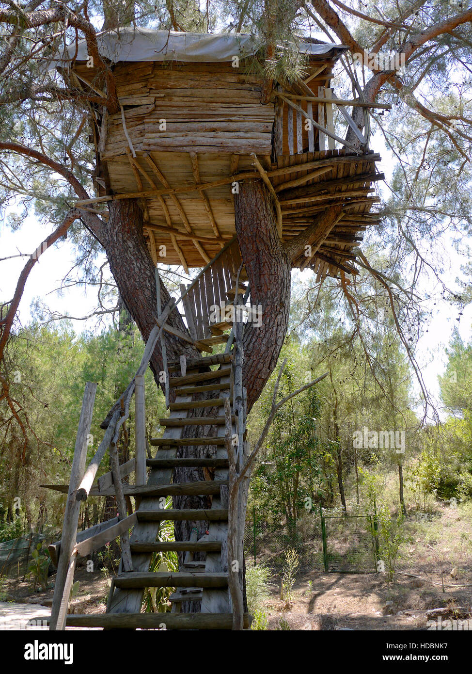 Tree house at Olympos, Turkey Stock Photo