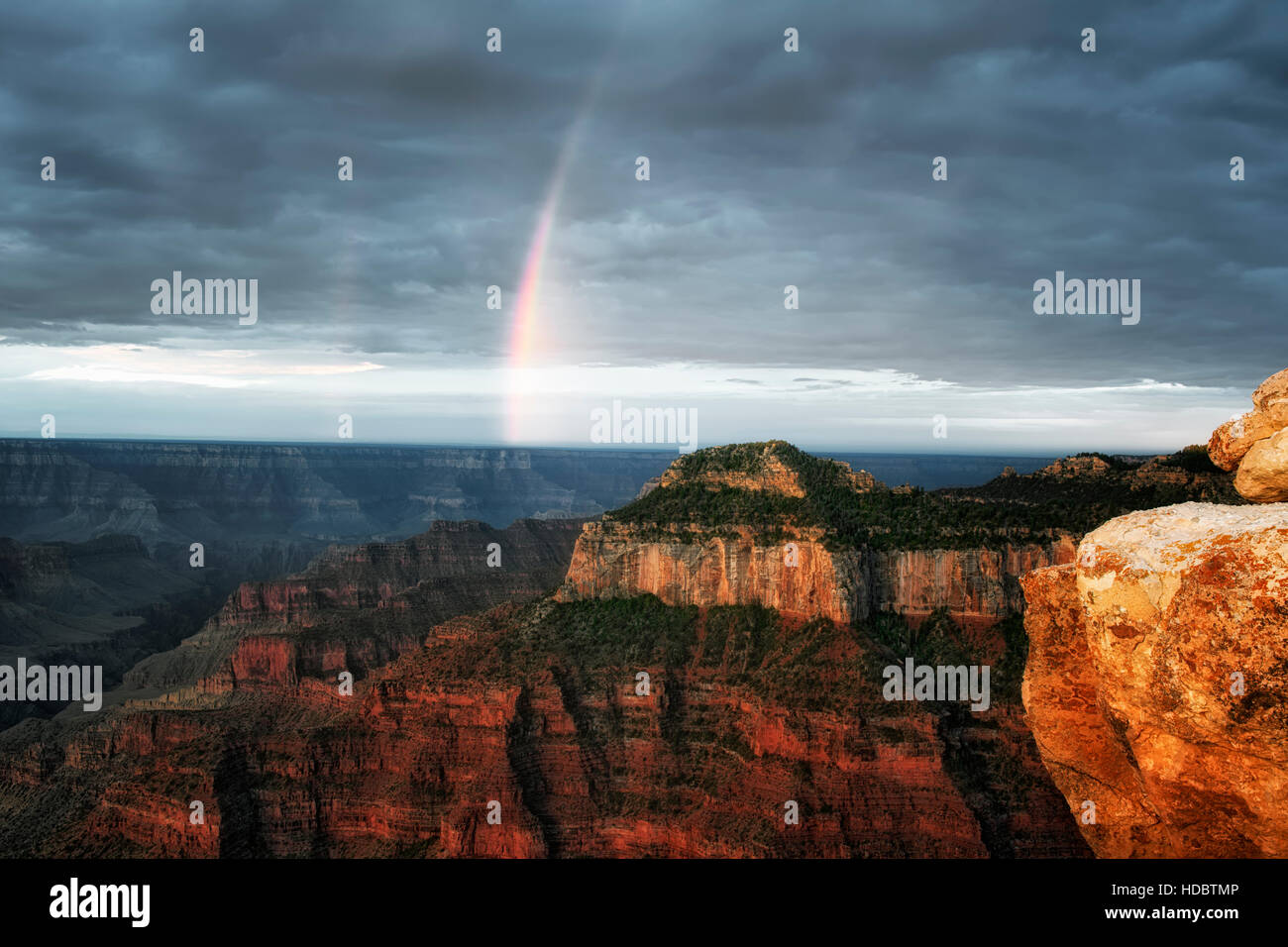 First light and summer monsoon showers create this rainbow over the