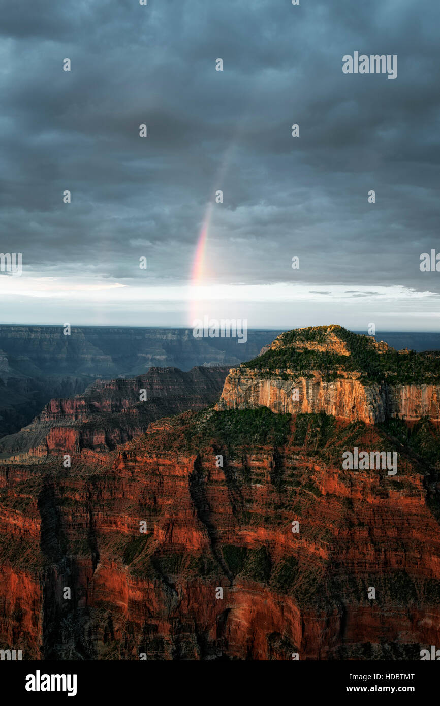 First light and summer monsoon showers create this rainbow over the North Rim of Arizona’s Grand Canyon National Park. Stock Photo
