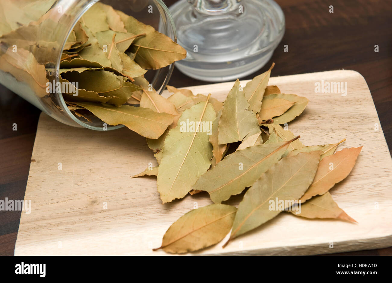 Dried bay leaves Stock Photo Alamy
