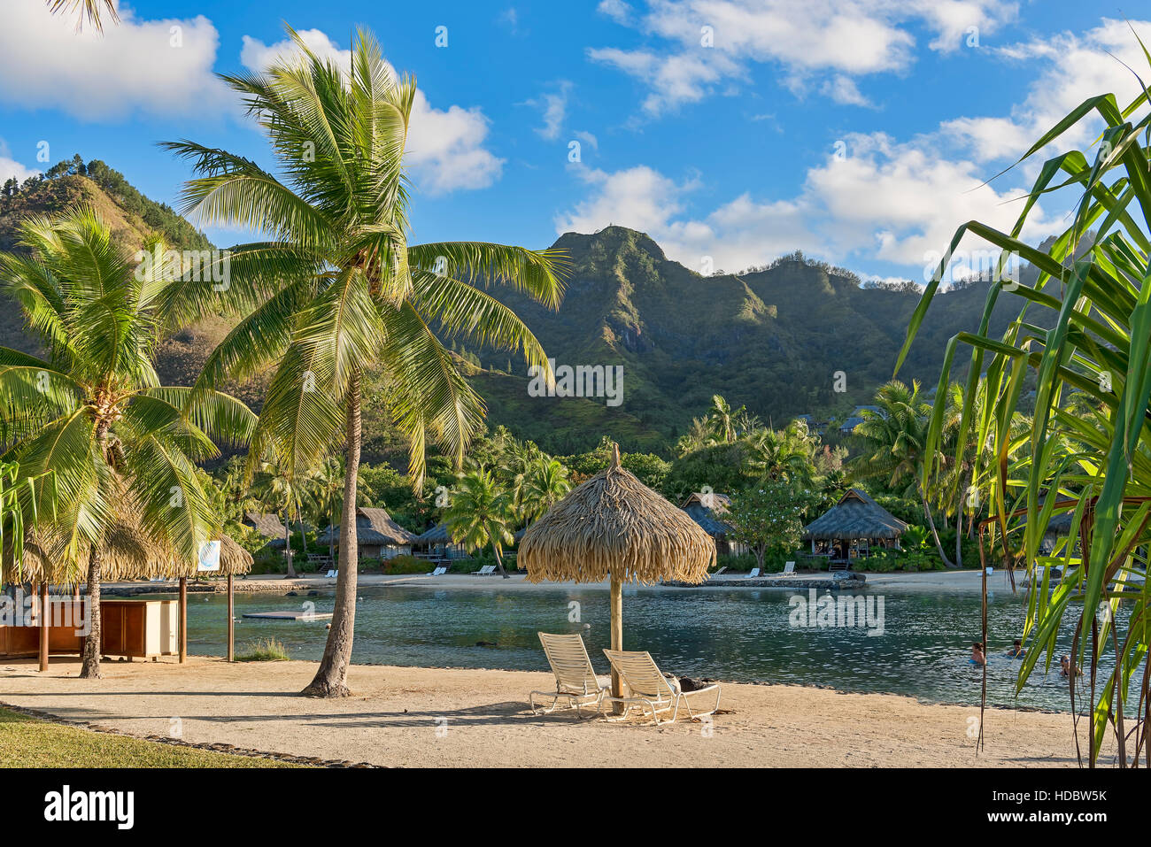 Chairs on beach with palm trees, Mo'orea, South Pacific, French Polynesia Stock Photo
