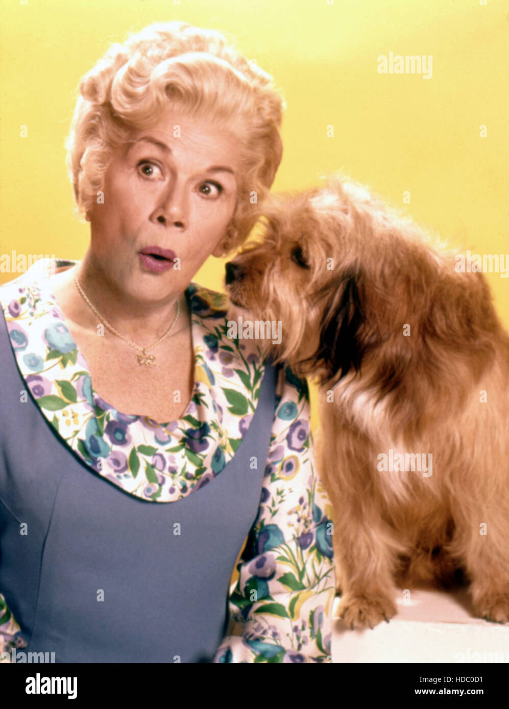 PETTICOAT JUNCTION, Bea Benaderet, (CBS, 1963 - 1970 Stock Photo - Alamy