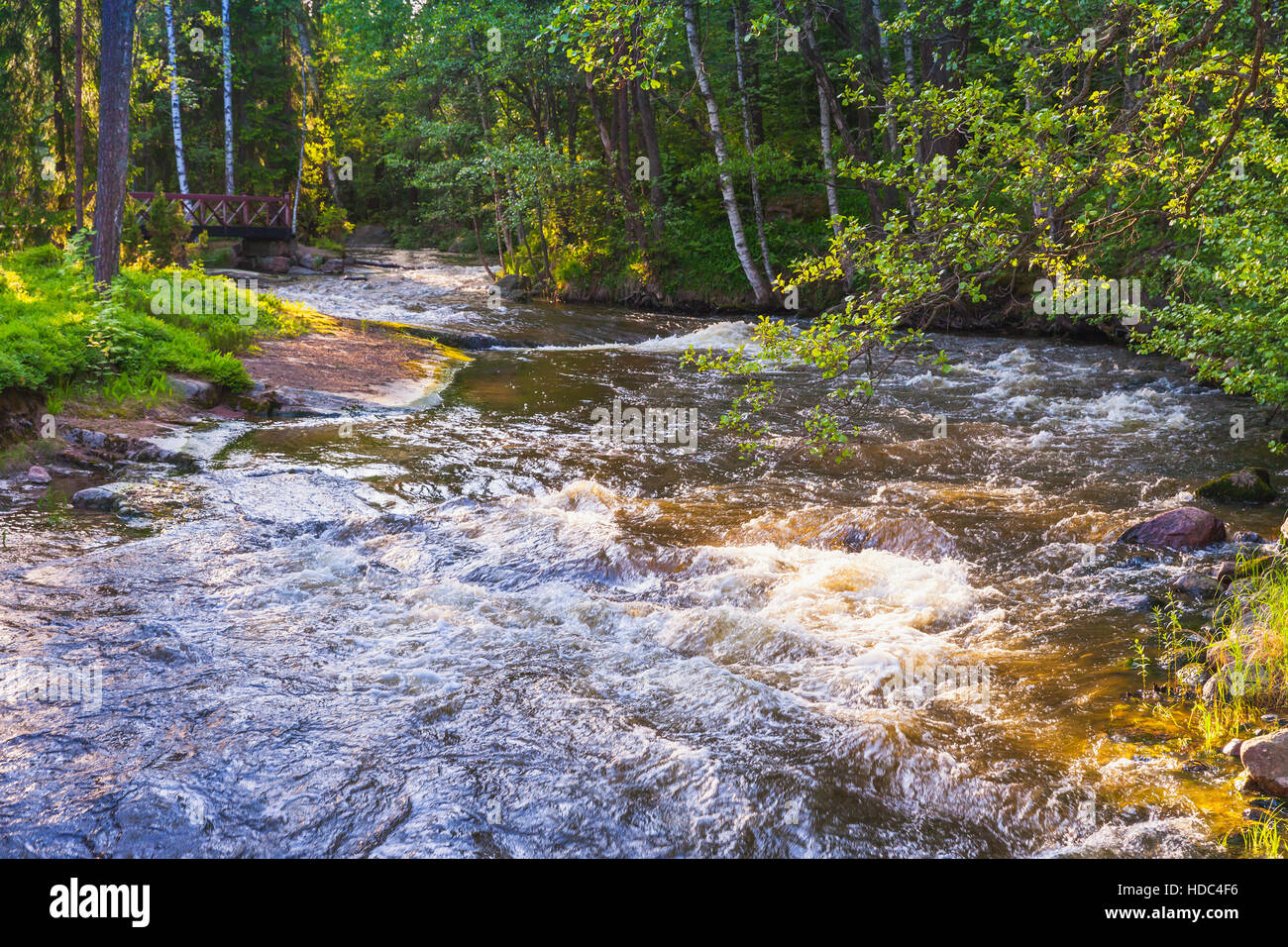 Fast stream with waterfall in summer park. Kotka, Finland Stock Photo