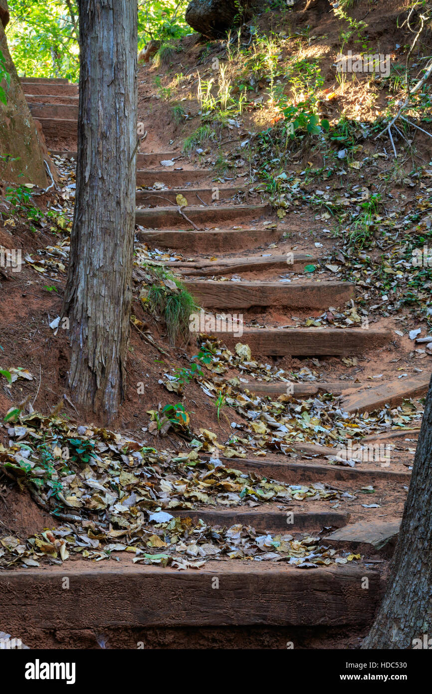 A stairway on the hiking trail in Oklahoma's Red Rock Canyon State Park