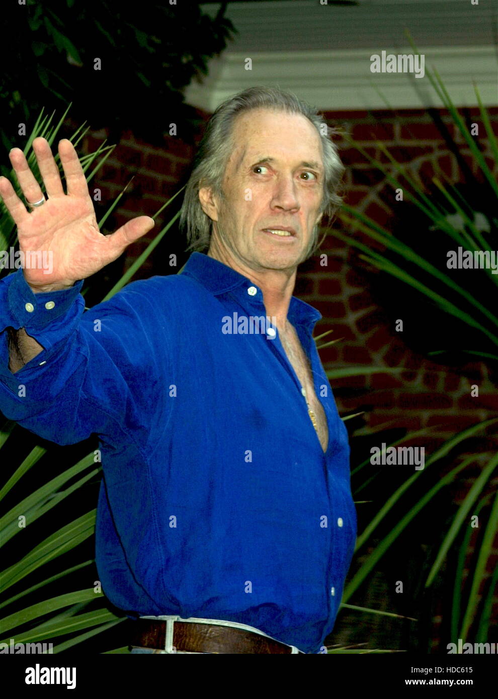 David Carradine in Bel Air, Calif,  on Tuesday , September 9, 2003.  Photo by Francis Specker Stock Photo