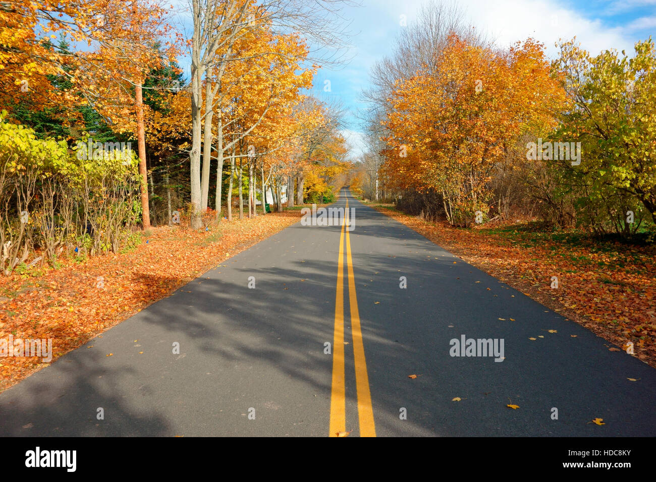 A rural paved road in Nova Scotia, Canada during autumn season Stock Photo