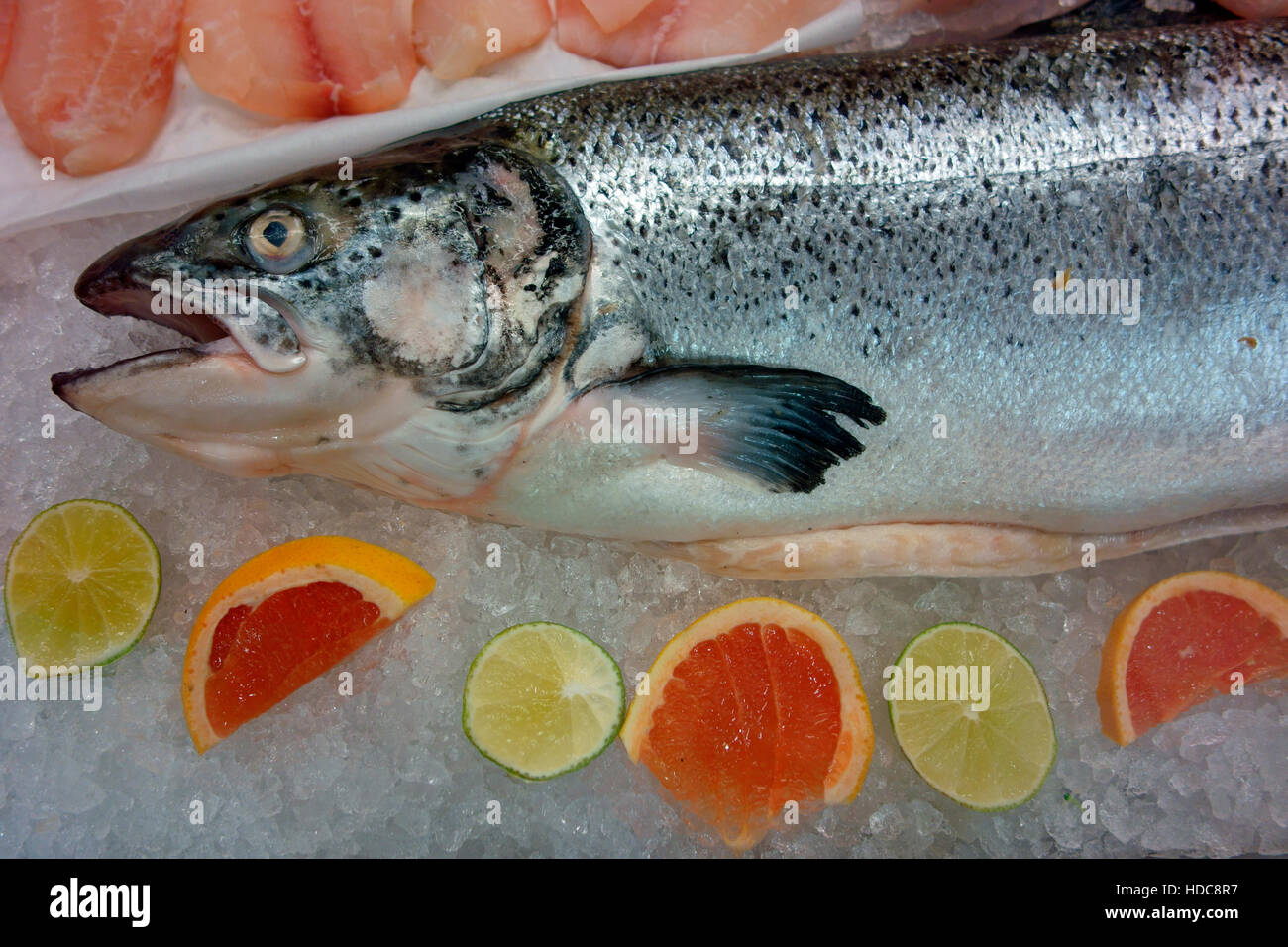 salmon fish on ice Stock Photo Alamy
