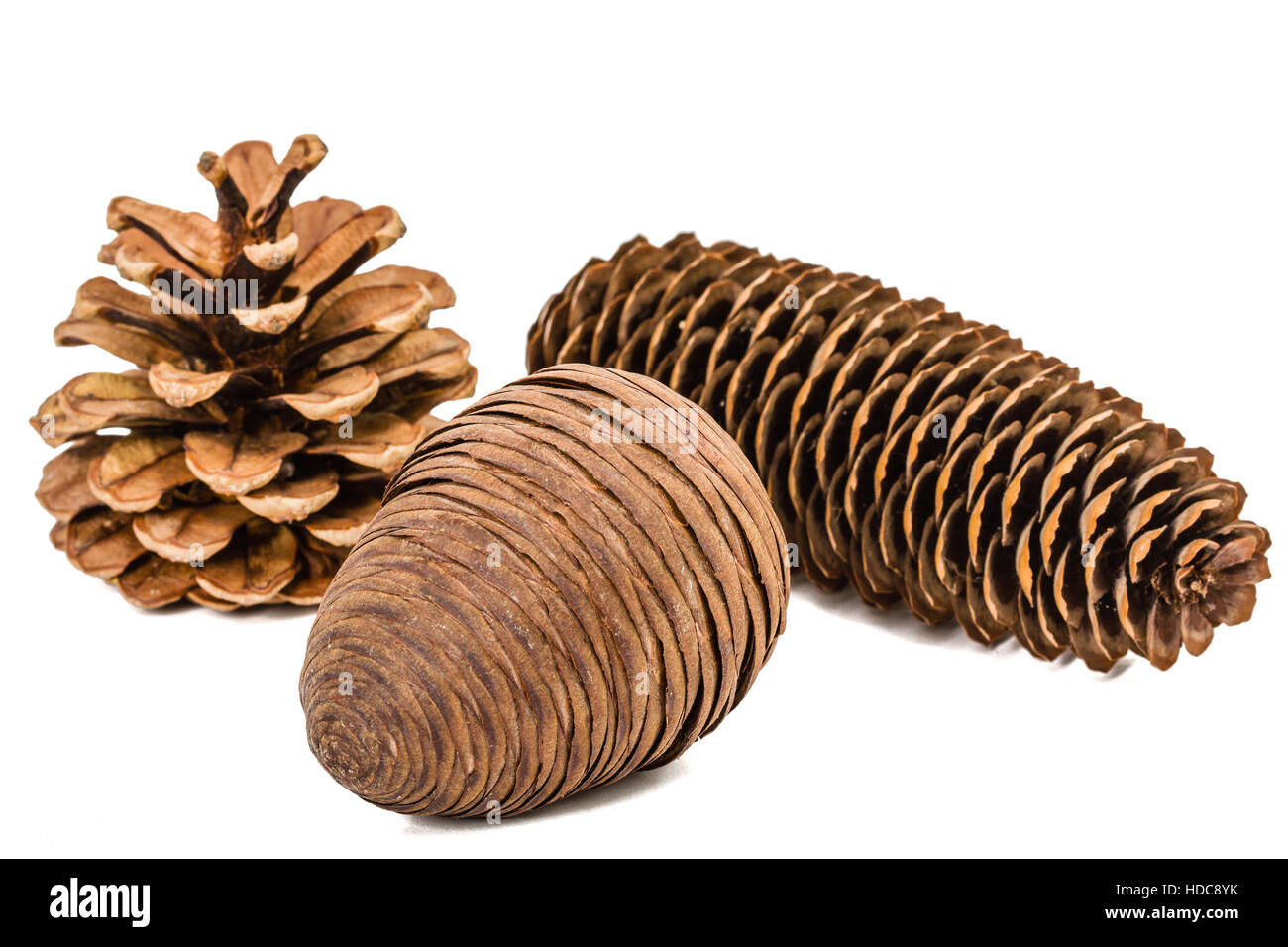 Beautiful pine cones isolated on a white background Stock Photo - Alamy
