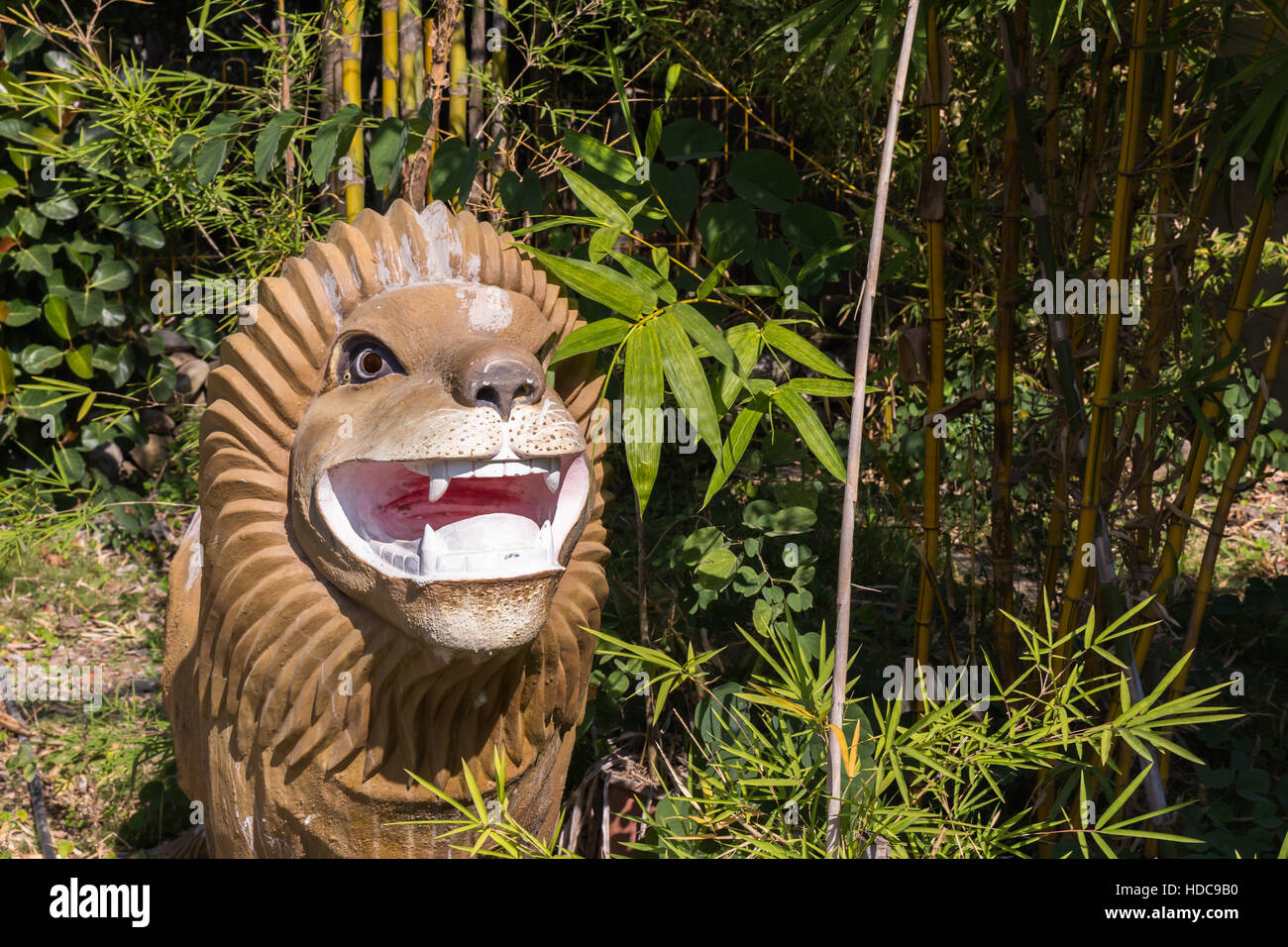 Lion head sculpture made of wood Stock Photo Alamy