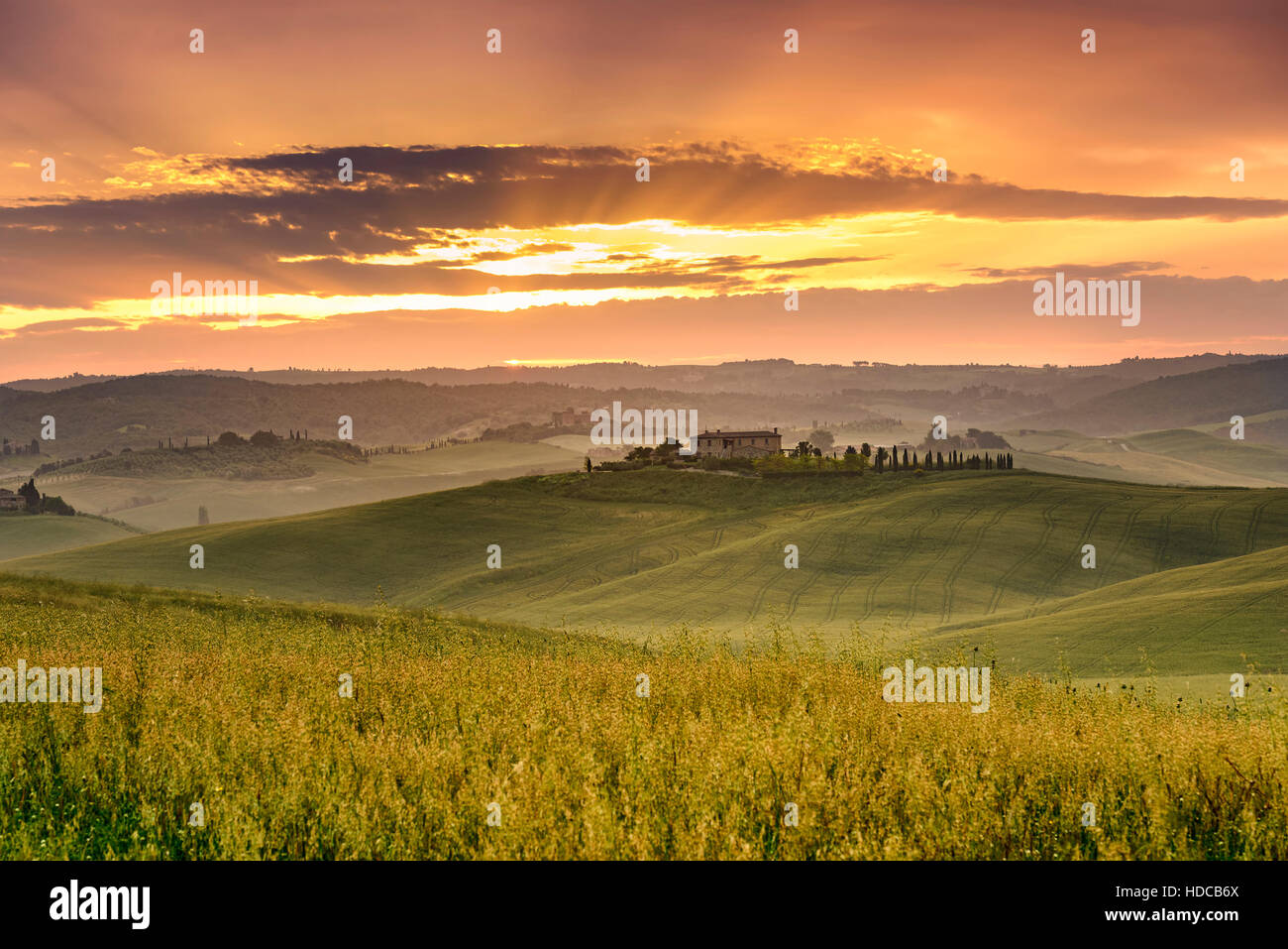 typical Tuscan landscape with rolling hills at the sunset Stock Photo ...